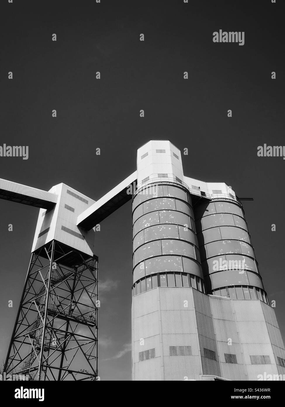 Near vs Tanjiro Kamado Who Would Win: A Strategic Battle Analysis